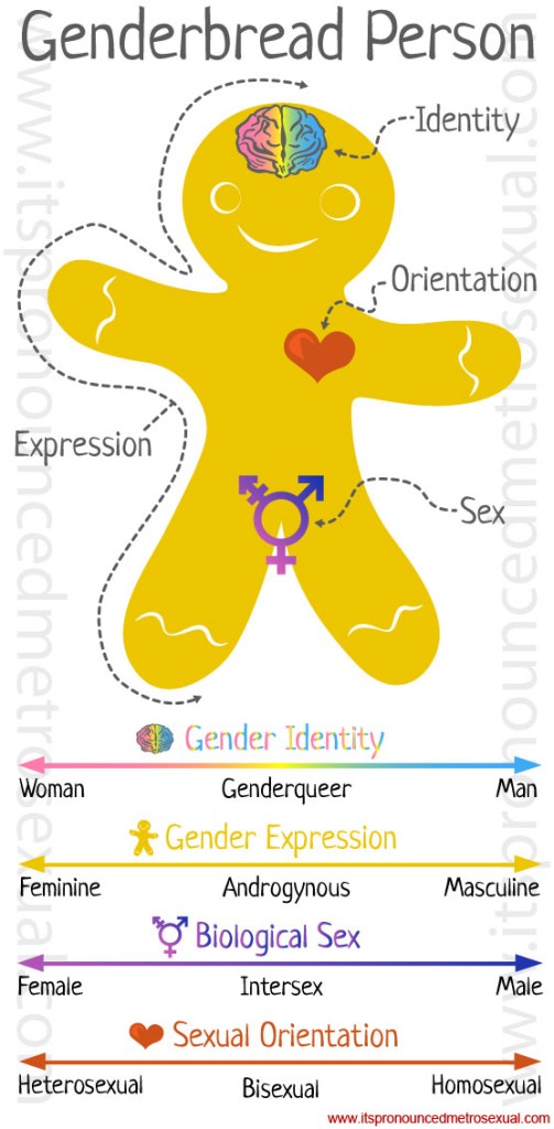 genderbread-person-gender-identity-graphic